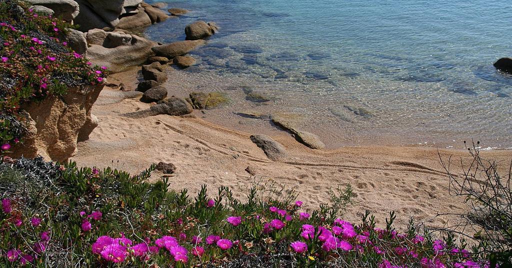 Appartamenti Galatea Palau Kültér fotó